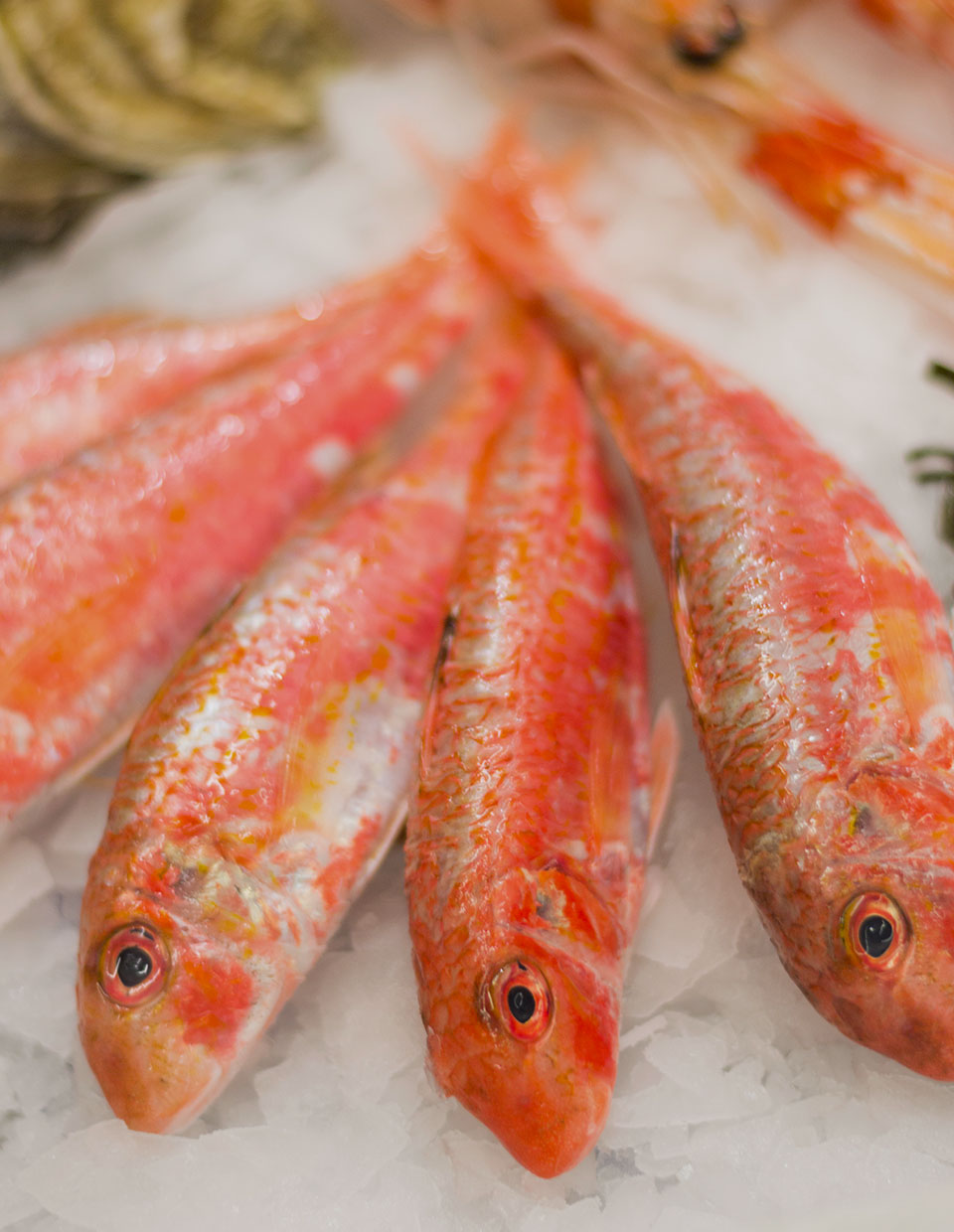 La cucina di Antonino Cannavacciuolo: il pesce La cucina di Antonino Cannavacciuolo: il pesce