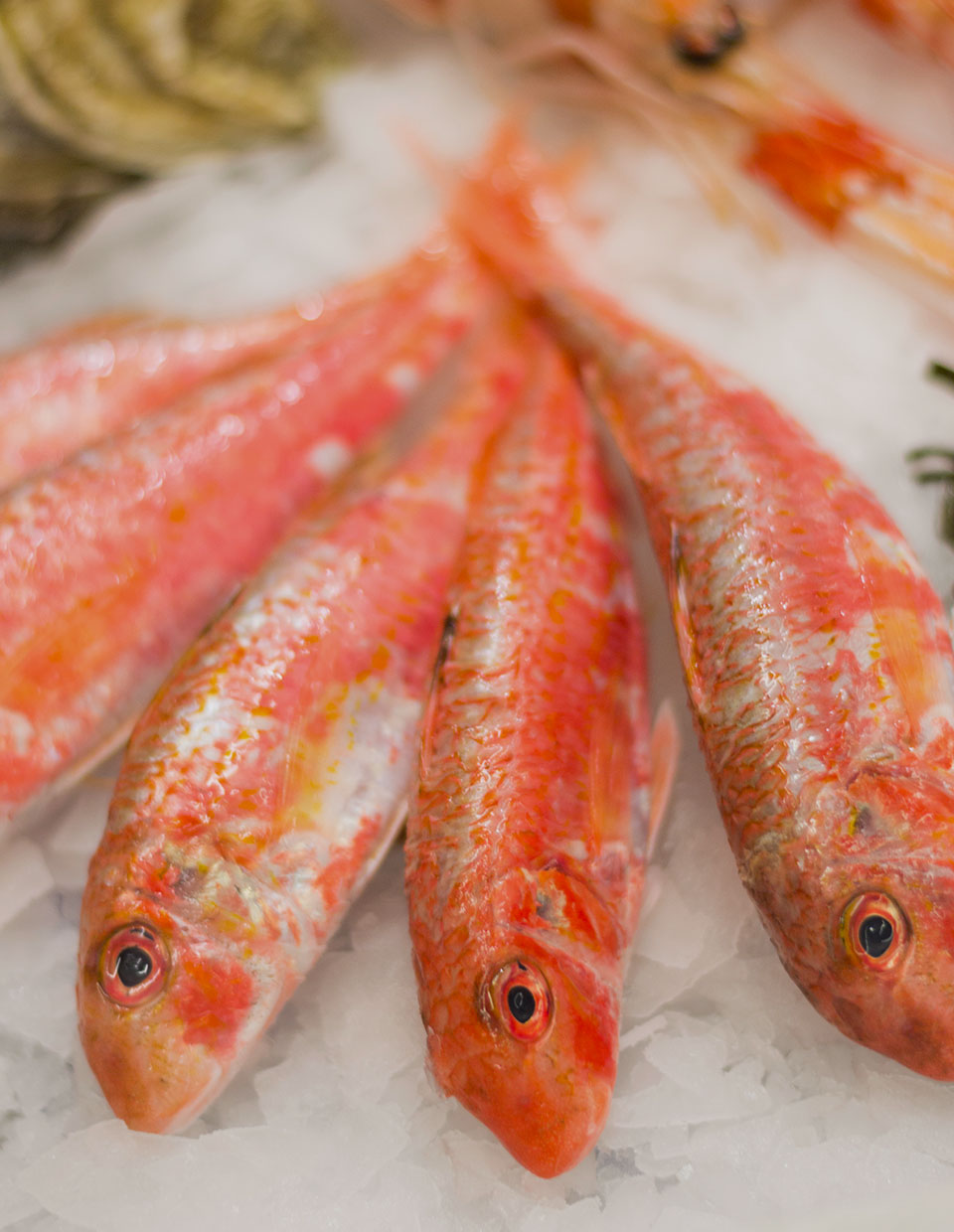 La cucina di Antonino Cannavacciuolo: il pesce